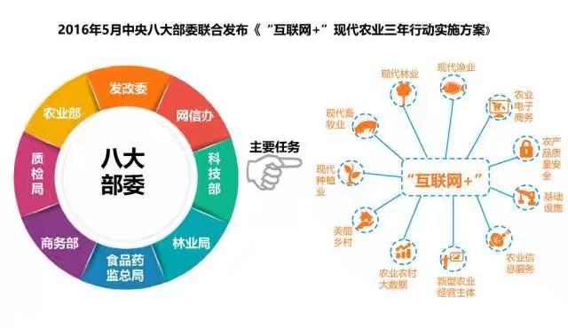 农业也乘上了互联网的风口 从田间到餐桌的数字化革命